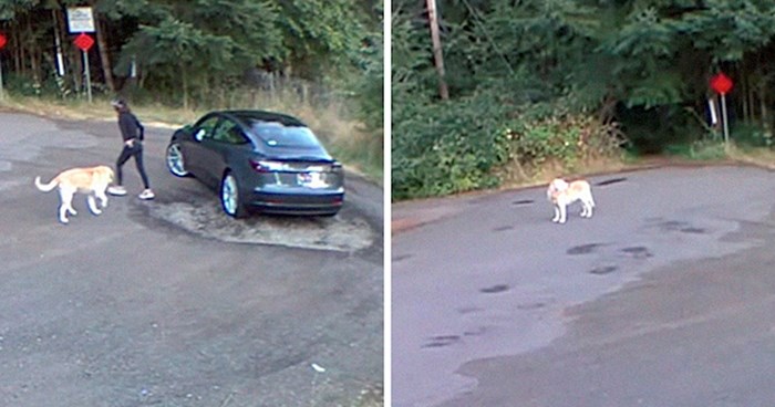 Srceparajuća snimka pokazuje kako je labrador mahao repićem dok ga je vlasnica ostavljala