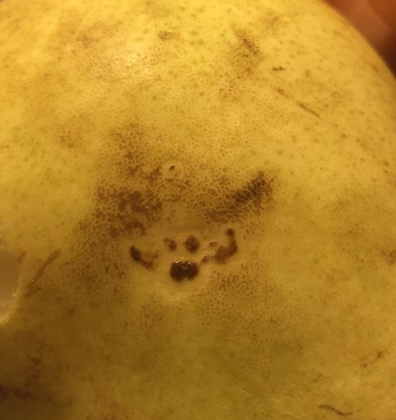 Vidite li ljuto lice na ovoj kruški?