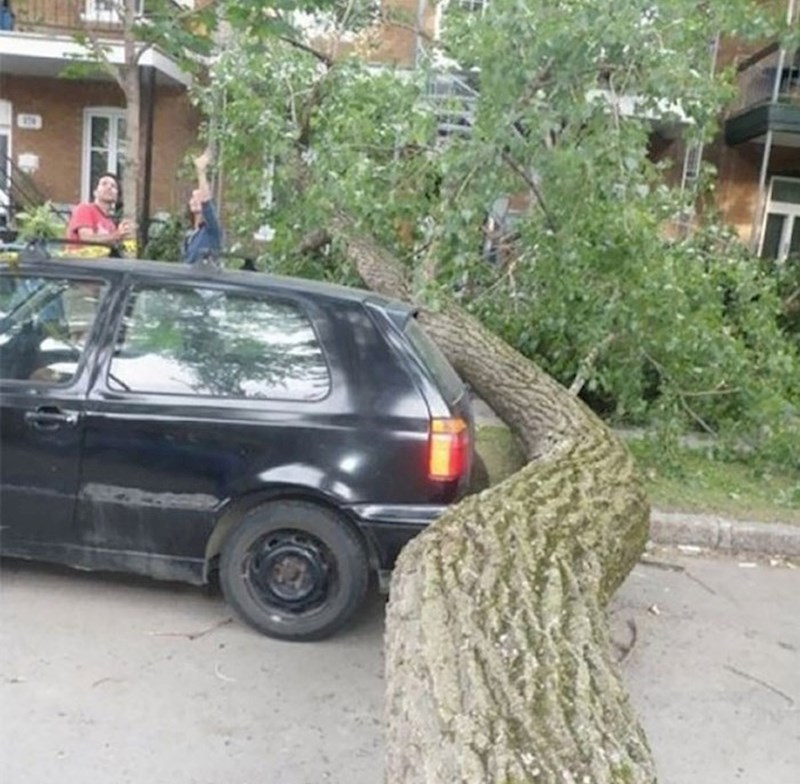 Vlasnik ovog auta bi možda trebao odigrati Eurojackpot jer ovoliku dozu sreće imaju samo rijetki.