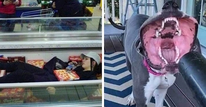 20 ljudi podijelilo je slike prizora koje su jednostavno morali pokazati ostalima