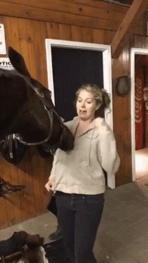 Znatiželjni konj je otkrio nešto zanimljivo na ženinoj dukserici pa se počeo igrati