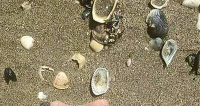 Dijete je na splitskoj plaži tražilo školjke, našlo je jednu koja se razlikovala od ostalih