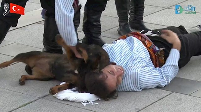 Pas se odmah svidio i izvođačima i prolaznicima koji su se zaustavili kako bi pogledali nastup. 😄