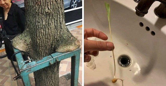15 ljudi podijelilo je slike zanimljivih prizora na koje su naišli