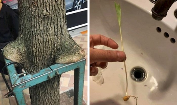 15 ljudi podijelilo je slike zanimljivih prizora na koje su naišli