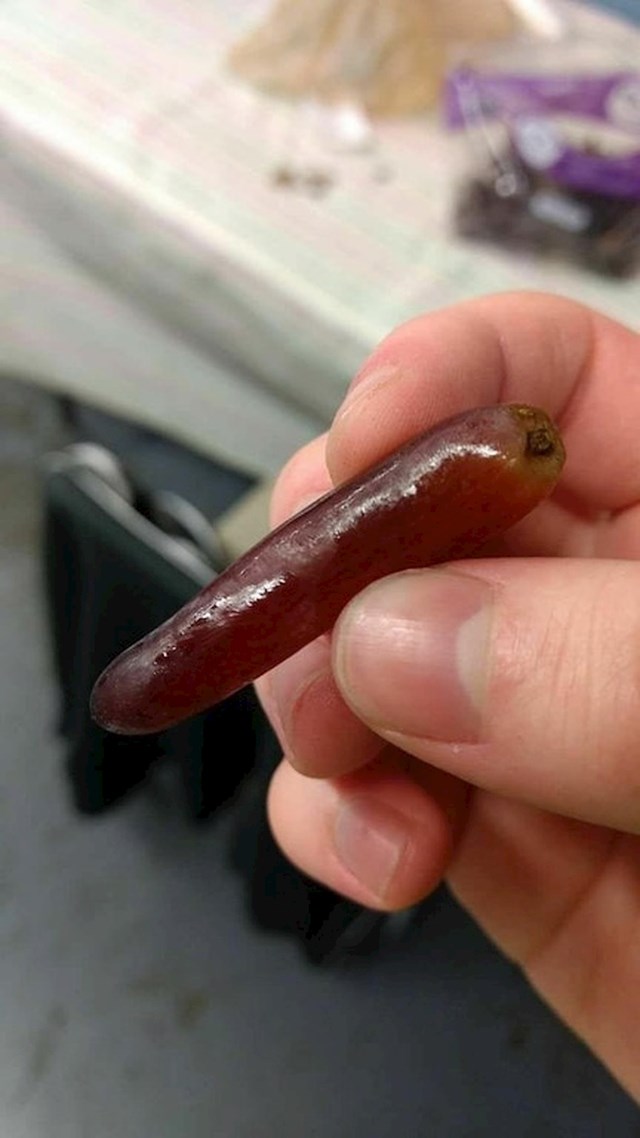 Dugačka bobica grožđa