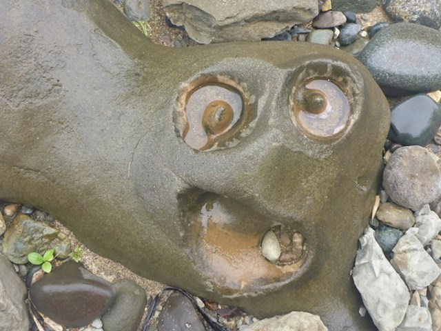 Ova stijena radi blesave face.