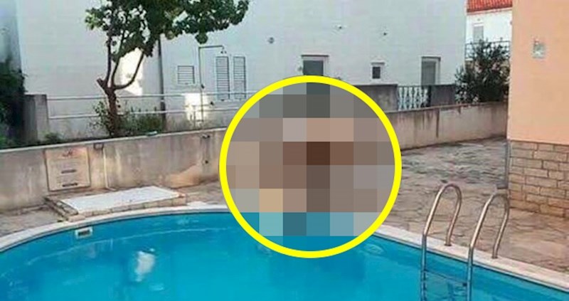 Dalmatinac je slikao nesvakidašnji prizor s "turistima" kojima se bazen jako svidio