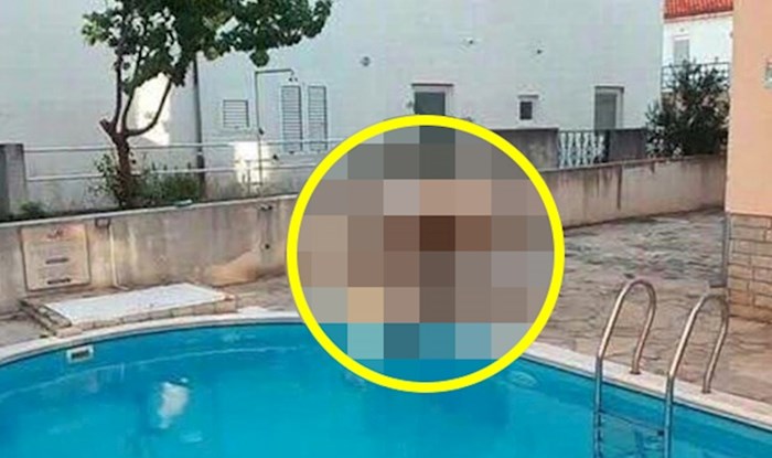 Dalmatinac je slikao nesvakidašnji prizor s "turistima" kojima se bazen jako svidio