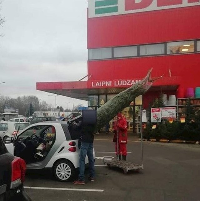 Išao je kupiti božićno drvce, no prekasno je shvatio da ima premali auto.