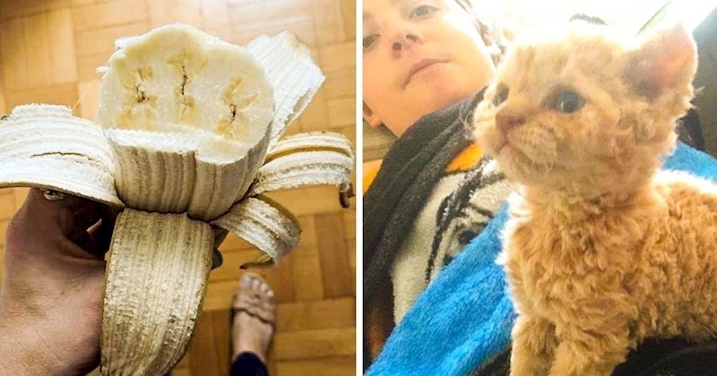 13 ljudi podijelilo je slike najčudnijih prizora koje su u zadnje vrijeme vidjeli