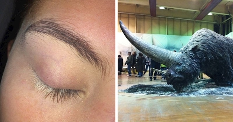 15 zanimljivih slika koje pokazuju koliko zapravo malo znamo o ovom svijetu