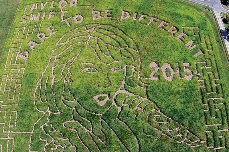 Jeff Greenwood i njegova žena Teresa Summers posvetili su svojoj omiljenoj pjevačici, Taylor Swift, portret na kukuruzištu.