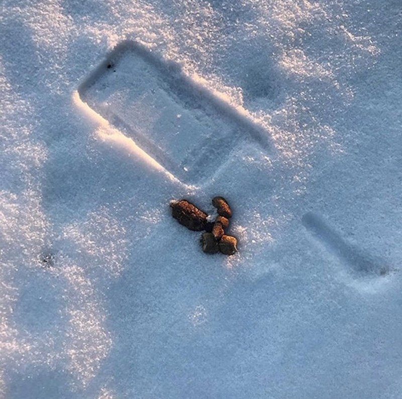 Mobitel mu je ispao iz ruke i skoro završio na jednoj smrdljivoj "nagaznoj mini". Ovo je bilo blizu.