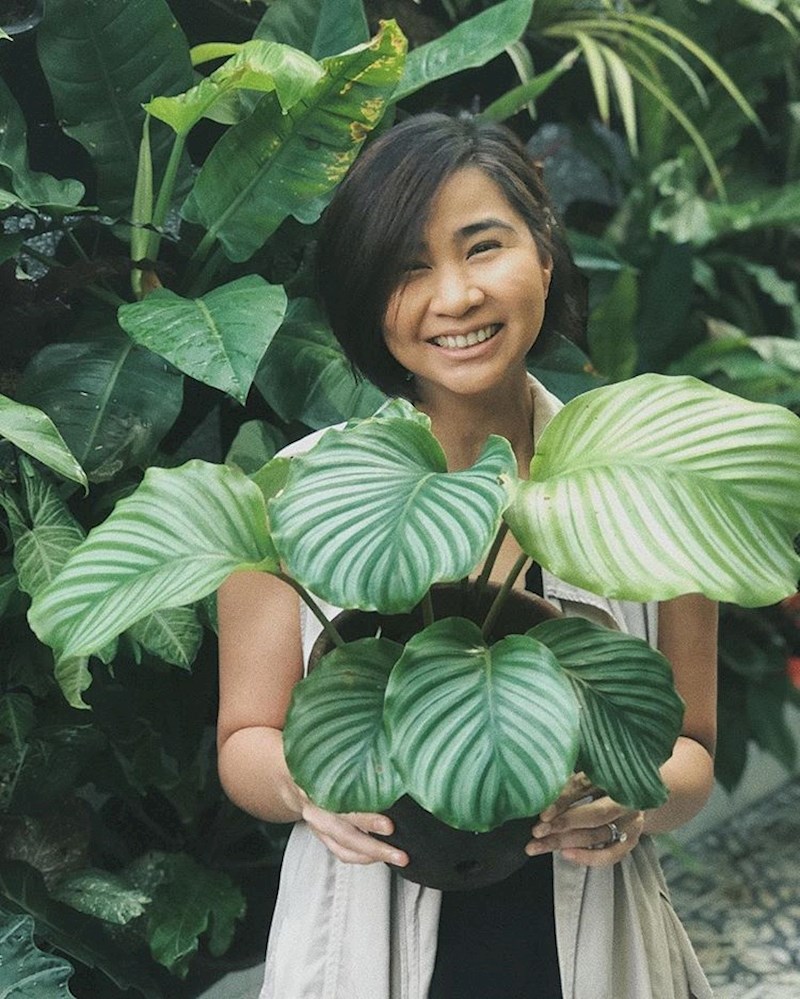 "Često krade susjedove biljke kako bih je slikao dok ih drži."