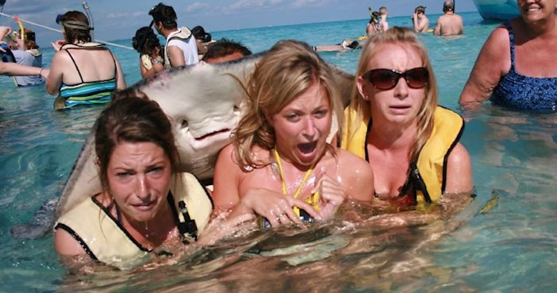 20 zanimljivih životinjskih slika koje će vam nabaciti osmijeh na lice