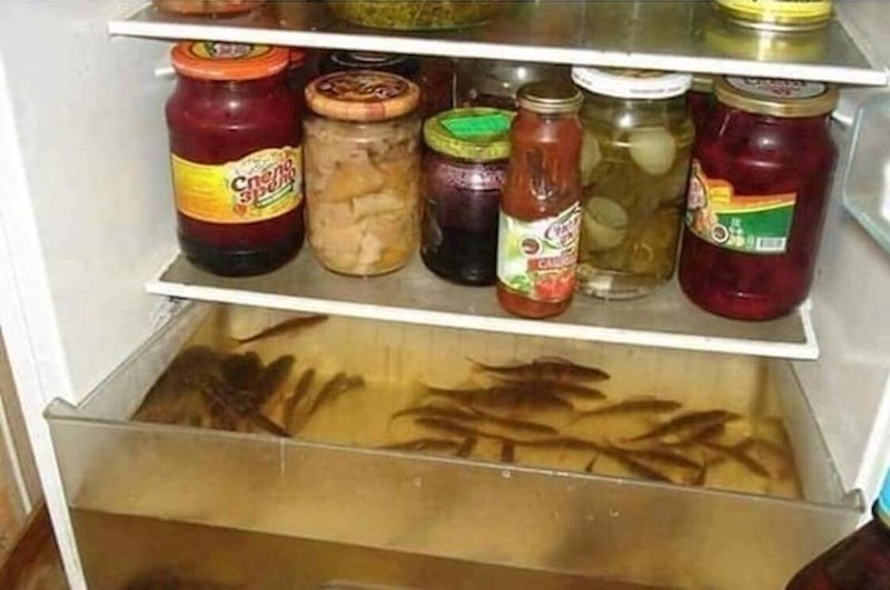 Ovi ljudi imaju "svježu ribu iz hladnjaka".