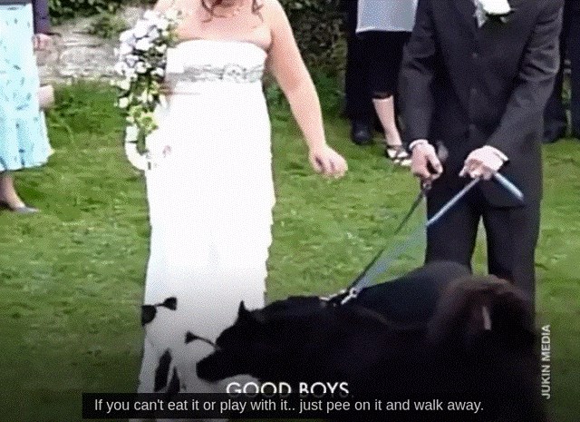 Mladenka je na vjenčanju doživjela neugodno iznenađenje koje ju je svejedno nasmijalo