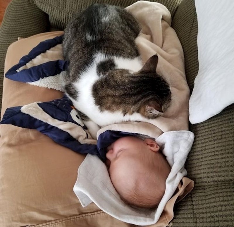 "Beba je plakala dok sam bila u kupaonici. Odjednom je prestala, a kad sam ušla u sobu, vidjela sam zašto."