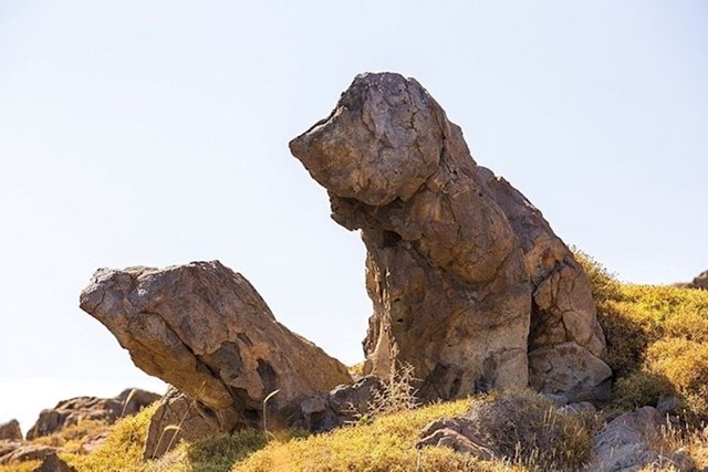 Vjerujemo da ćete se složiti da ova stijena izgleda kao pas.
