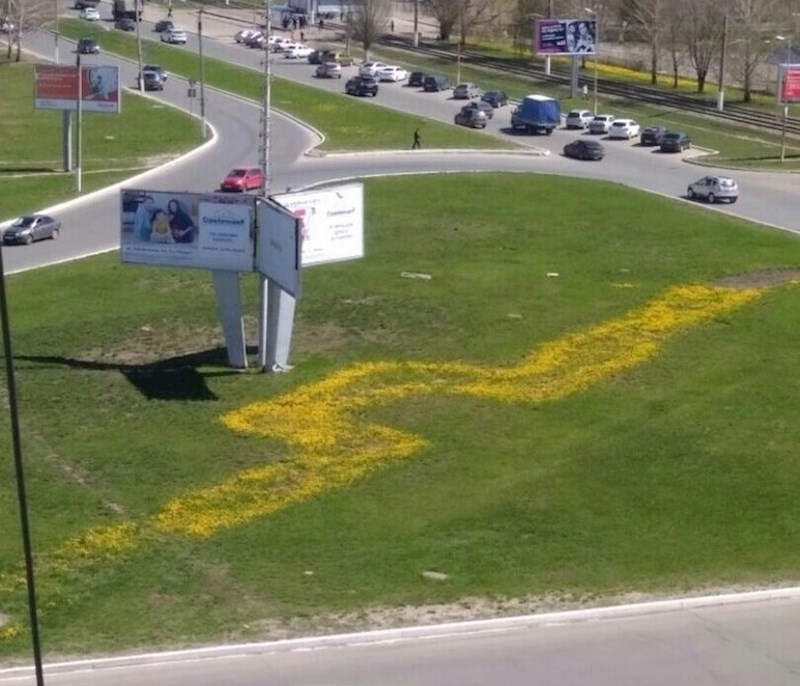 Cvijeće je naraslo točno na mjestu gdje prolazi cijev s vrelom vodom...