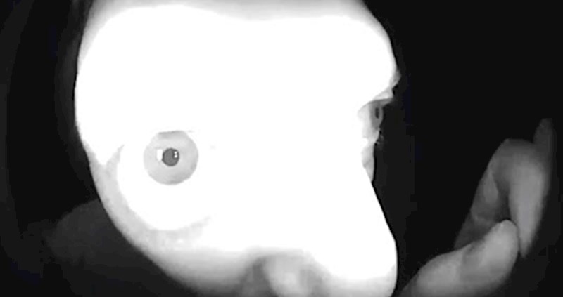 VIDEO Ljudi su podijelili najjezivije prizore koje je snimila kamera na ulaznim vratima