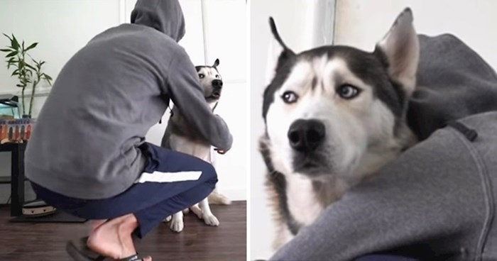VIDEO Lik je provjerio što se dogodi kad psa predugo grlite, pogledajte kako je haski reagirao