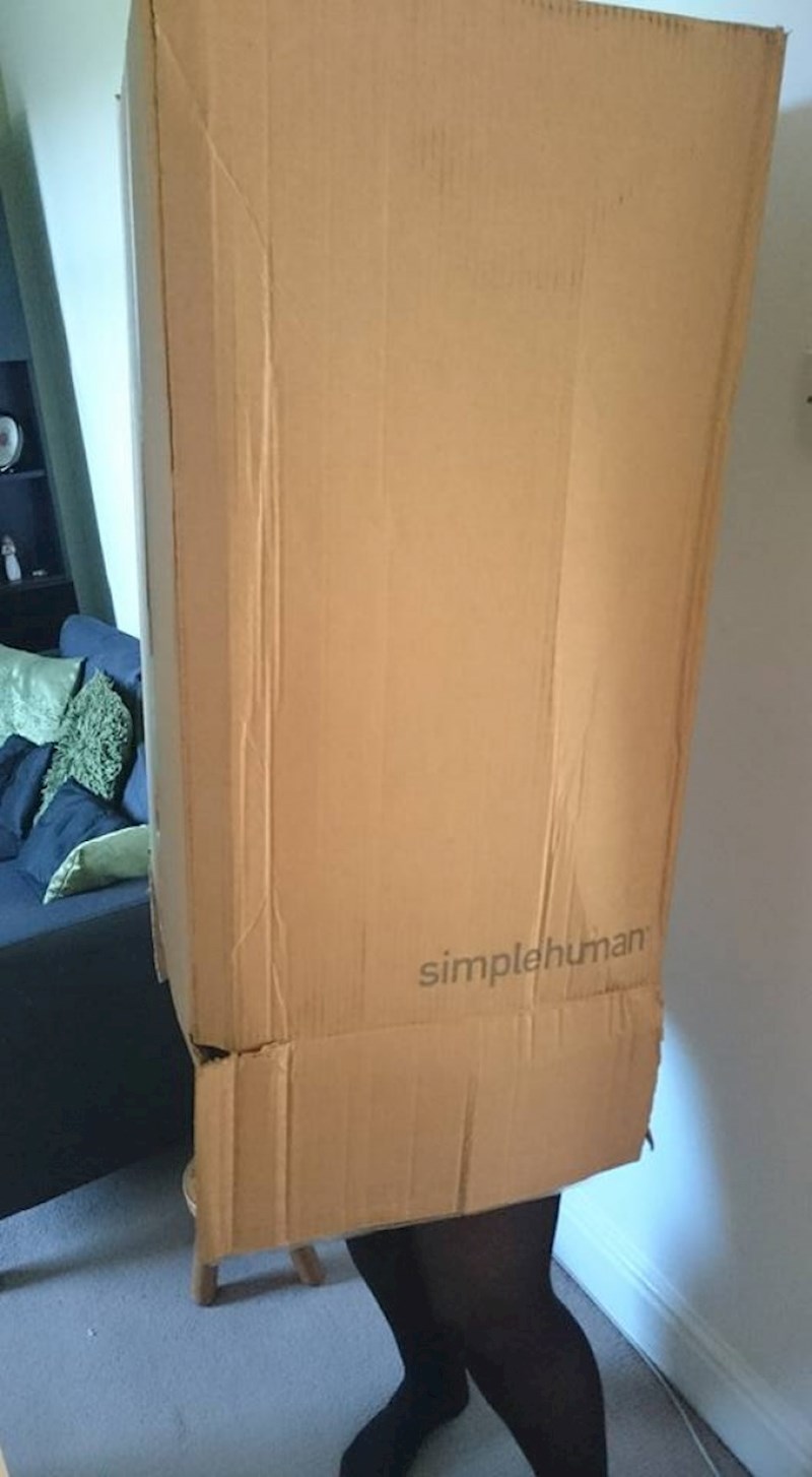 "Nakon što nam je stigla dostava, moja draga se 20 minuta igrala s kutijom i tako trčala po kući."