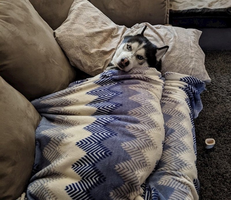 "Moram ga ušuškati prije nego što krenem na posao ili počne plakati."