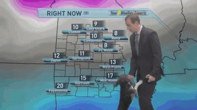 Voditelj vremenske prognoze pokušavao je raditi svoj posao, no netko mu je htio pokvariti planove