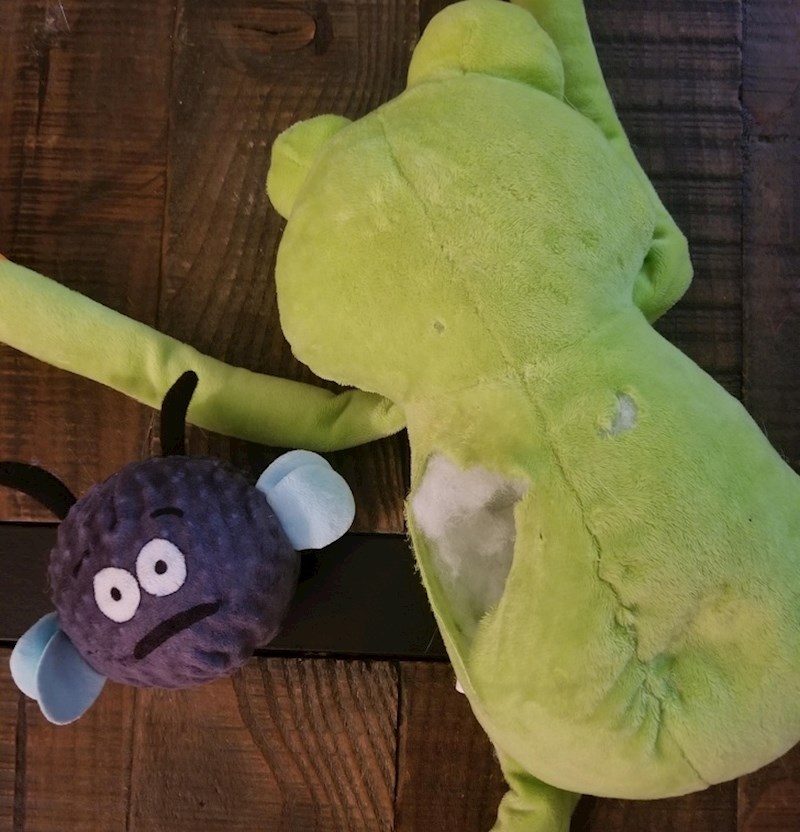 "Moj pas je danas uništio svoju najdražu igračku i tada sam shvatio da je unutra bila još jedna manja igračkica!"