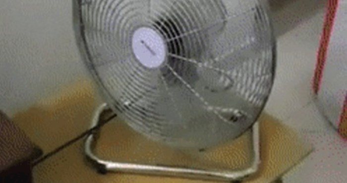 Snimka ovog ventilatora postaje puno zanimljivija kad vidite što je na televiziji