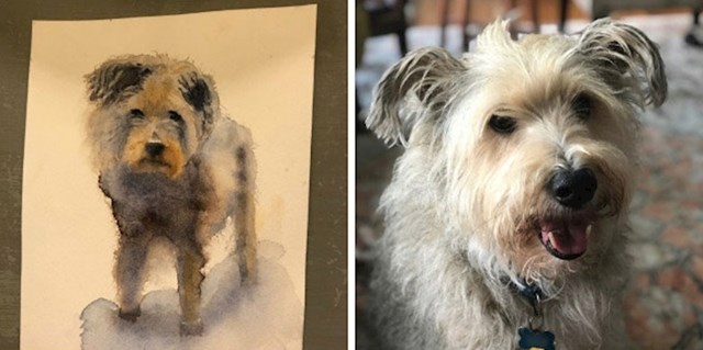 "naš susjed je napravio umjetničke slike svih pasa iz kvarta tijekom karantene. i moj riley je dobio svoj portret!"