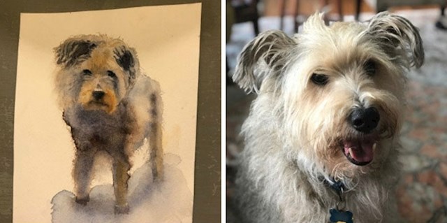 Ljudi su podijelili slike najzanimljivijih stvari koje su vidjeli tijekom karantene "naš susjed je napravio umjetničke slike svih pasa iz kvarta tijekom karantene. i moj riley je dobio svoj portret!"