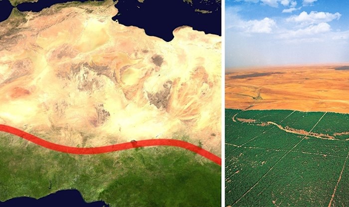 Ljudi u Africi grade "Veliki zeleni zid" od posađenih stabala kako bi pomogli planetu