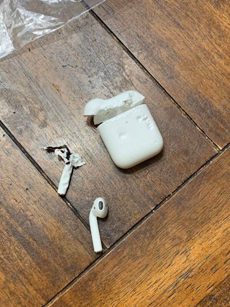 "Pas je našao moje nove bežične slušalice."