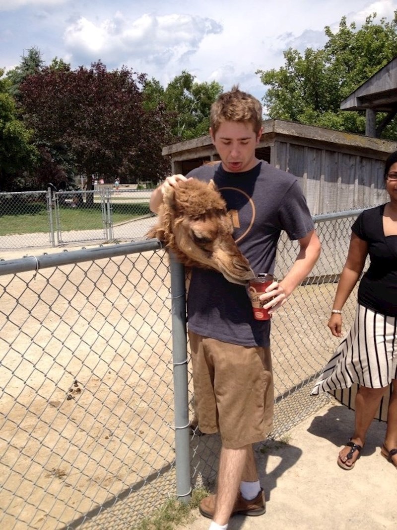 Ovaj lik hrani glavu deve... a gdje je ostatak?