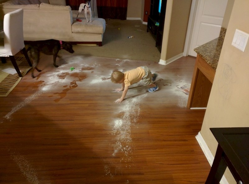 Ono kad pas mora uvjeriti vlasnike da nije on kriv...