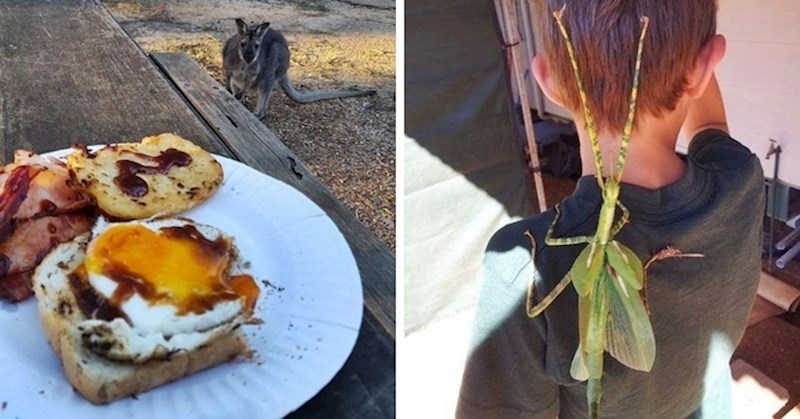 20 zanimljivih prizora koje ćete možda vidjeti ako jednog dana posjetite Australiju