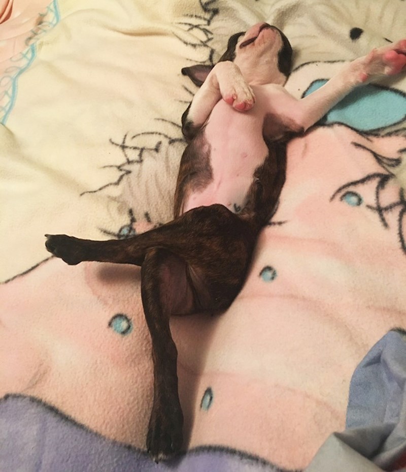 "Vratili smo se sa šetnje, ona je legla na krevet dok sam bila u drugoj sobi."