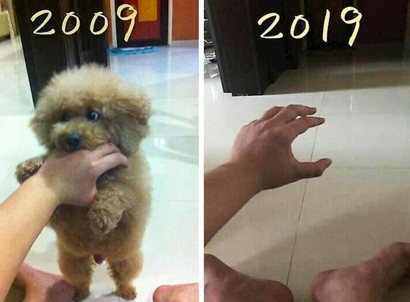 Kada vam ostanu samo uspomene...