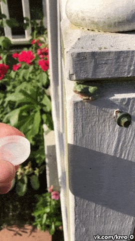 Uzeo je plastični čep, napunio ga vodom pa u dvorištu snimio nešto simpatično