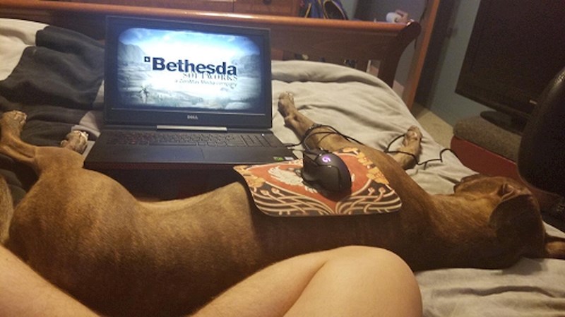 Eto, tako su svi bili zadovoljni.