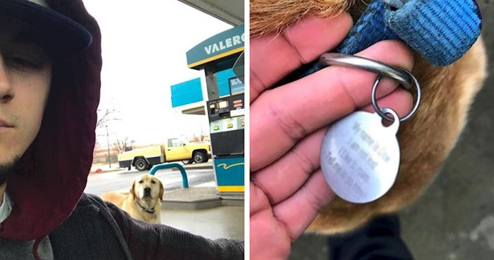 Lik je htio pomoći izgubljenom psu, odustao je kad je vidio što mu piše na ogrlici