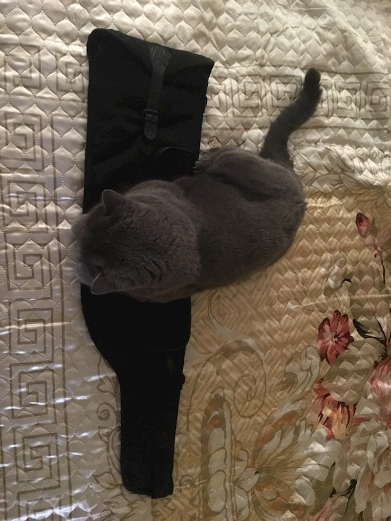 Vlasnik joj je preminuo, ovo je jedina uspomena koja joj je ostala.