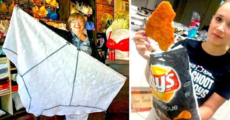 20 ogromnih primjeraka svakodnevnih stvari zbog kojih ćete se osjećati maleno