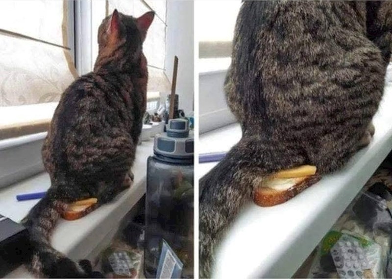 Evo što se dogodilo: