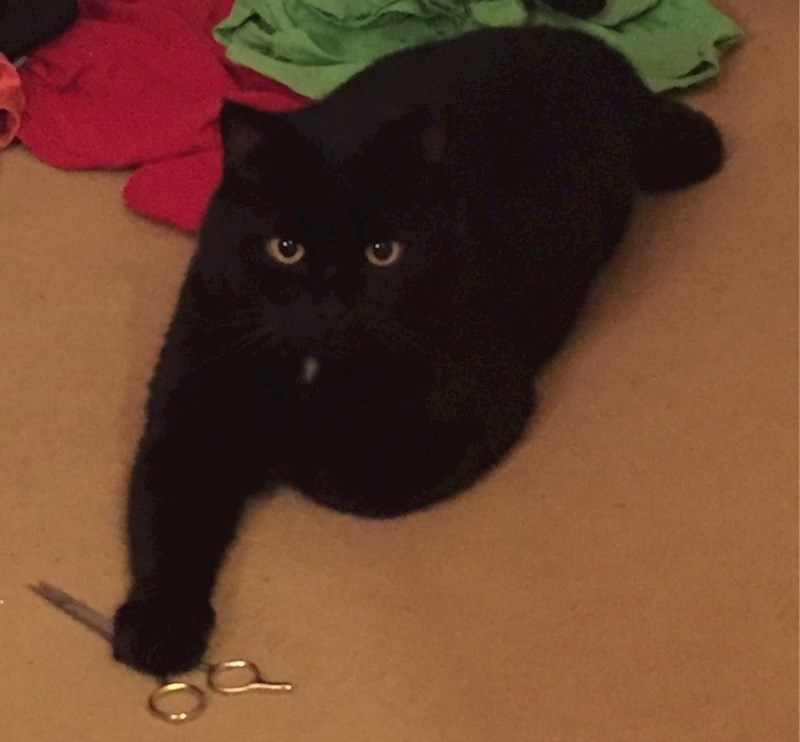 "Trebaš škare? Evo, uzmi ih ako smiješ."