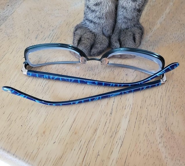 "Kupio sam nove naočale pa primijetio da ih ne mogu skroz sklopiti."