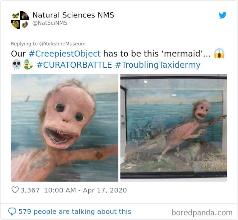 Među najstrašnijim umjetninama našla se još jedna slika muzeja prirodnih znanost. Riječ je o još jednoj strašnoj sireni koja izgleda kao lik iz horora.